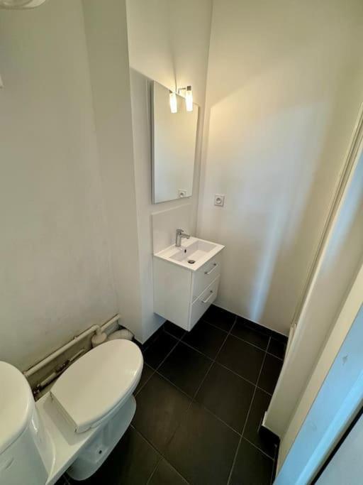 Apartament Le Studio Bleu - Grange Blanche Lyon Zewnętrze zdjęcie